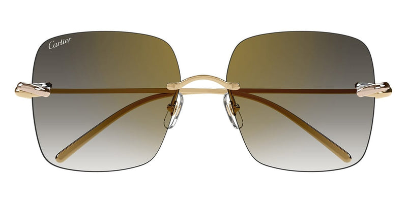 Cartier CT0508S-001 60mm