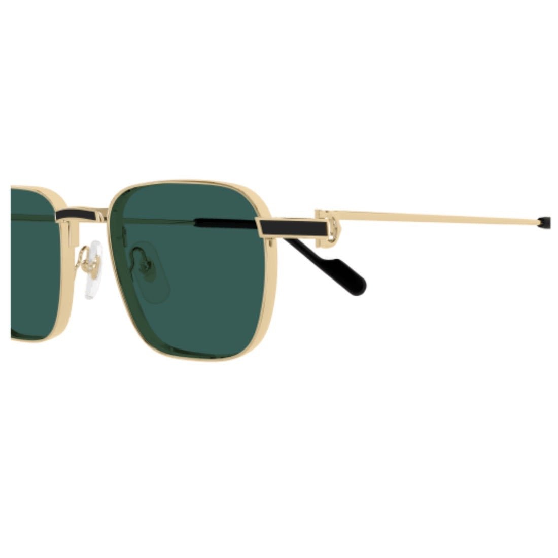 Cartier CT0497S-008 54mm