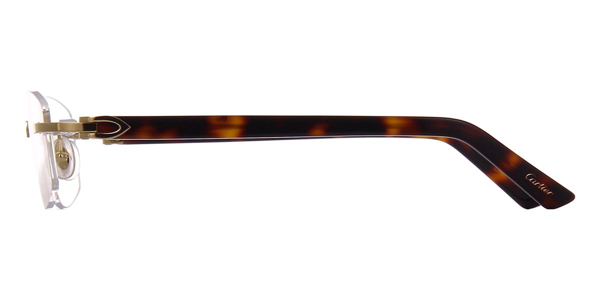 Cartier CT0048o-004 53mm