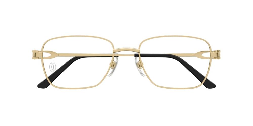 Cartier CT0519o-001 54mm
