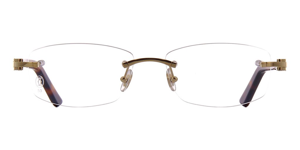 Cartier CT0048o-004 53mm