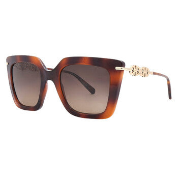 Salvatore Ferragamo SF1041S 238 51 0mm