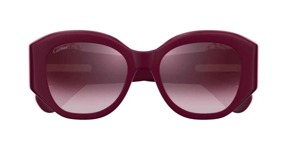 Cartier CT0502S-004 53