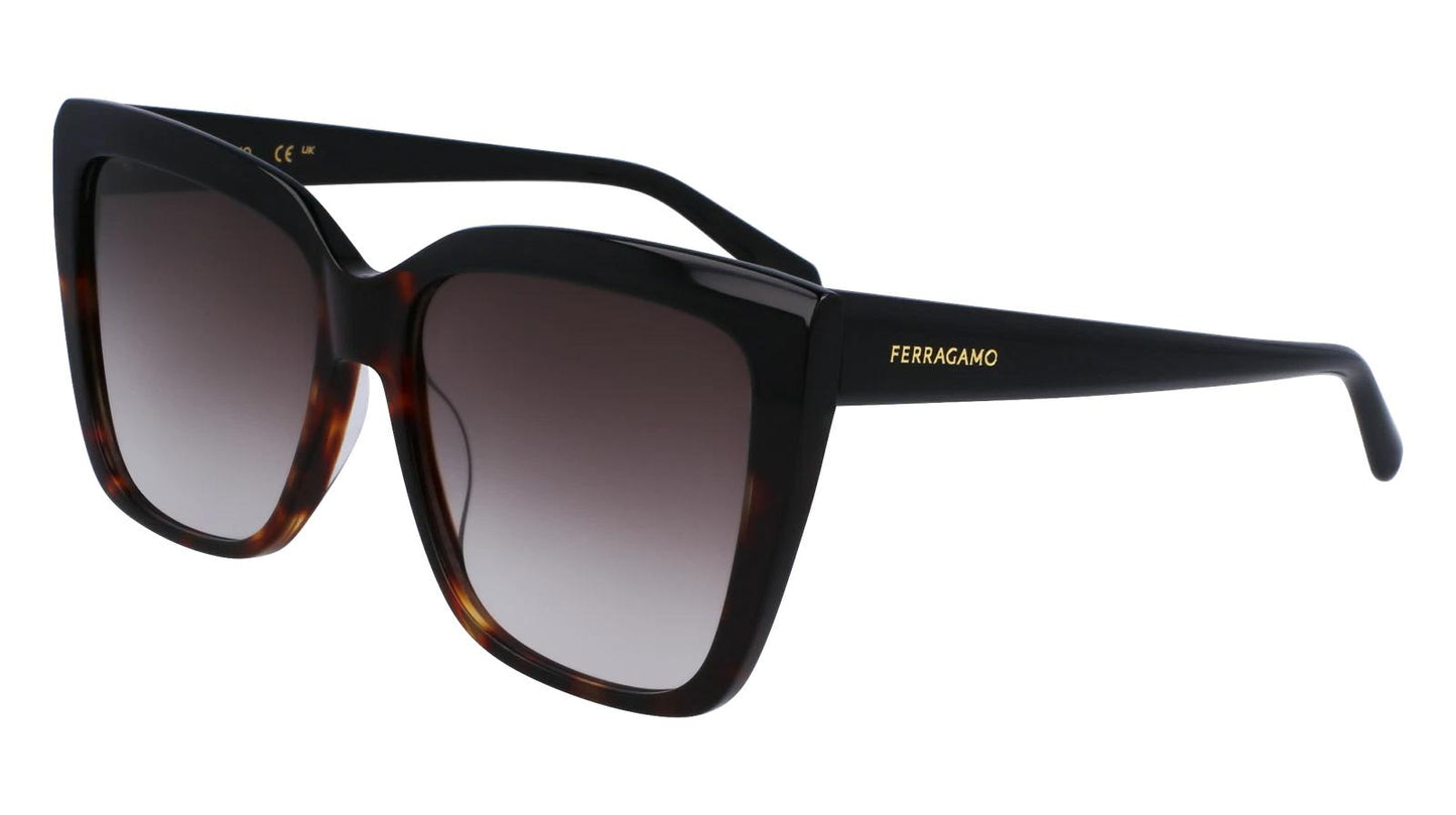 Salvatore Ferragamo SF1102S-006-5816 58mm