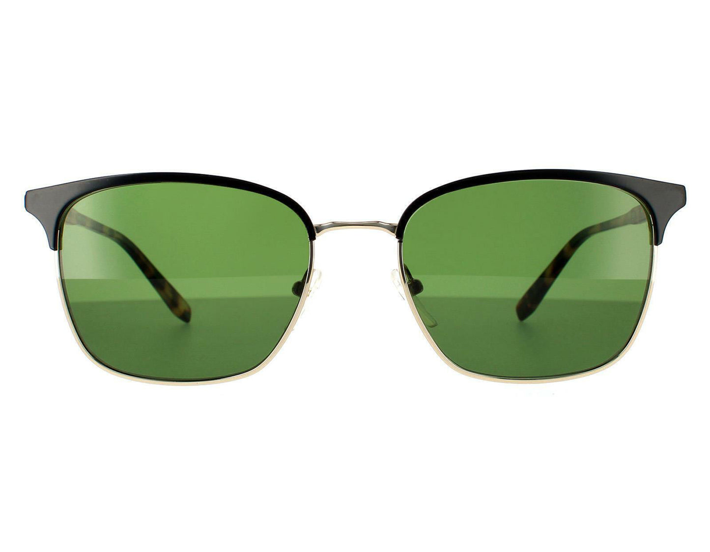 Salvatore Ferragamo SF180S-017