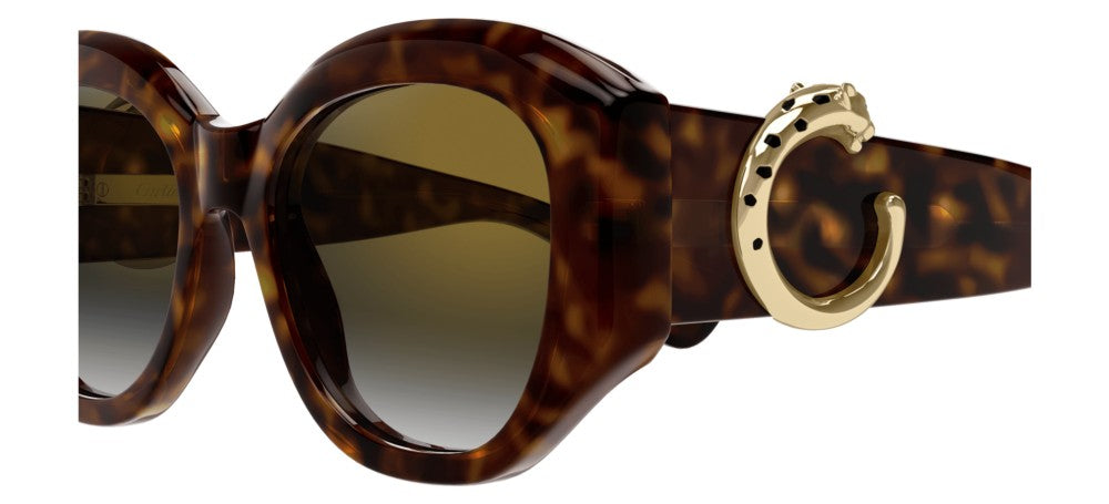 Cartier CT0502S-002 53