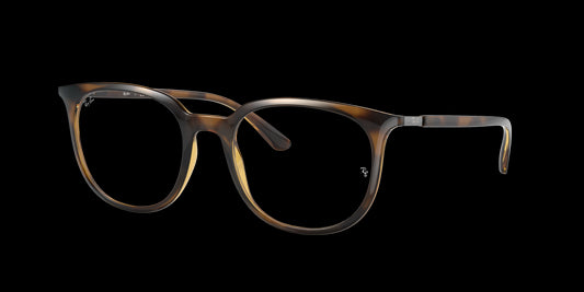 Ray Ban RX7190-2012-53