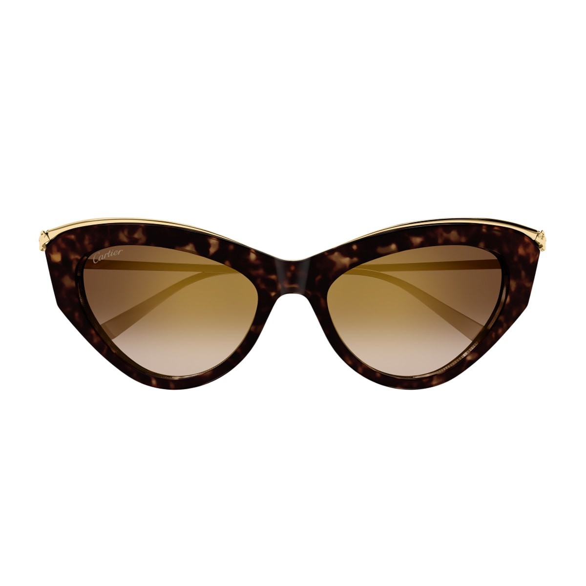 Cartier CT0596S-002 55mm