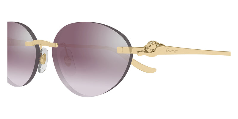 Cartier CT0504S-004 58mm