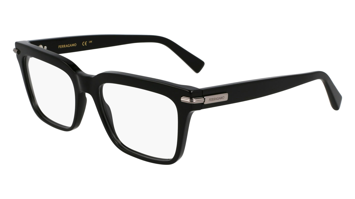 Salvatore Ferragamo SF3014-001-5518 55mm