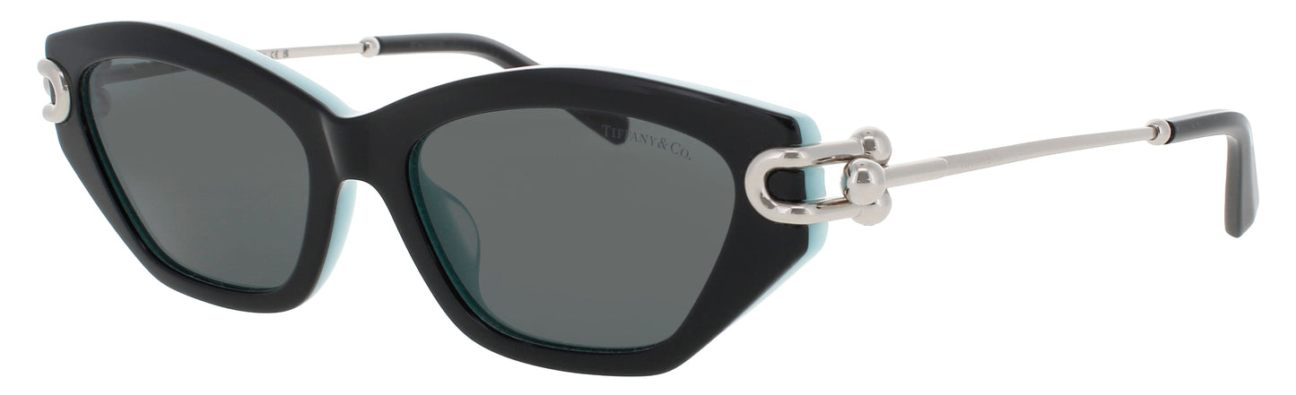 Tiffany & Co TF4231U-8055S4 53