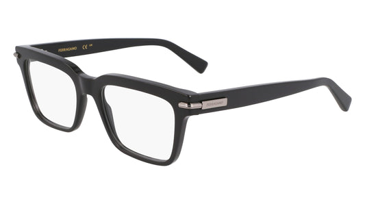Salvatore Ferragamo SF3014-019-5318 53mm