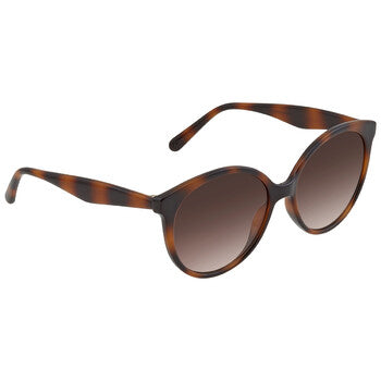 Salvatore Ferragamo SF1071S 240 58 0mm