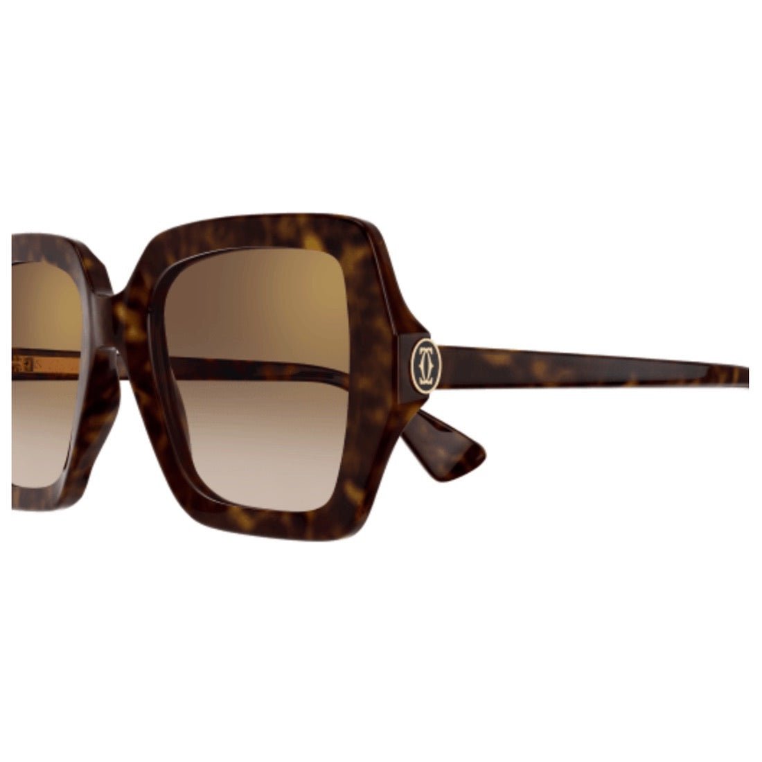 Cartier CT0507S-002 54