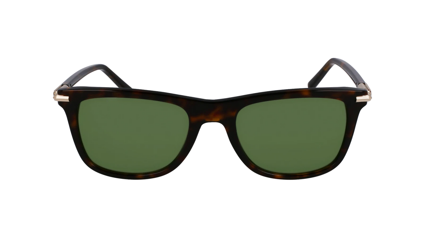 Salvatore Ferragamo SF2028S-242-5420 54mm