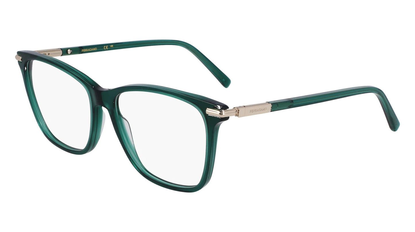 Salvatore Ferragamo SF3013-317-5315 53mm