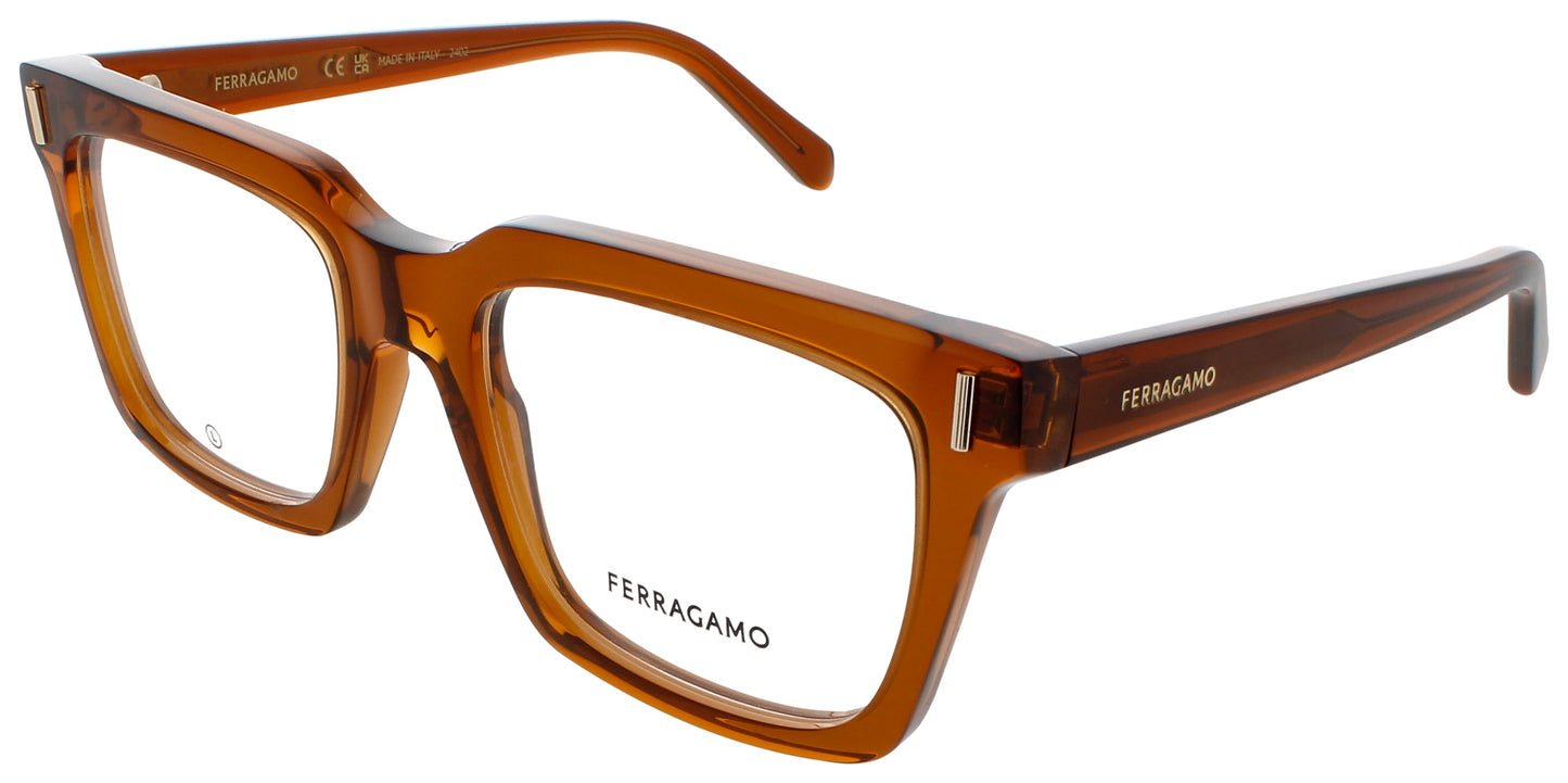 Salvatore Ferragamo SF2993-232-53 53mm