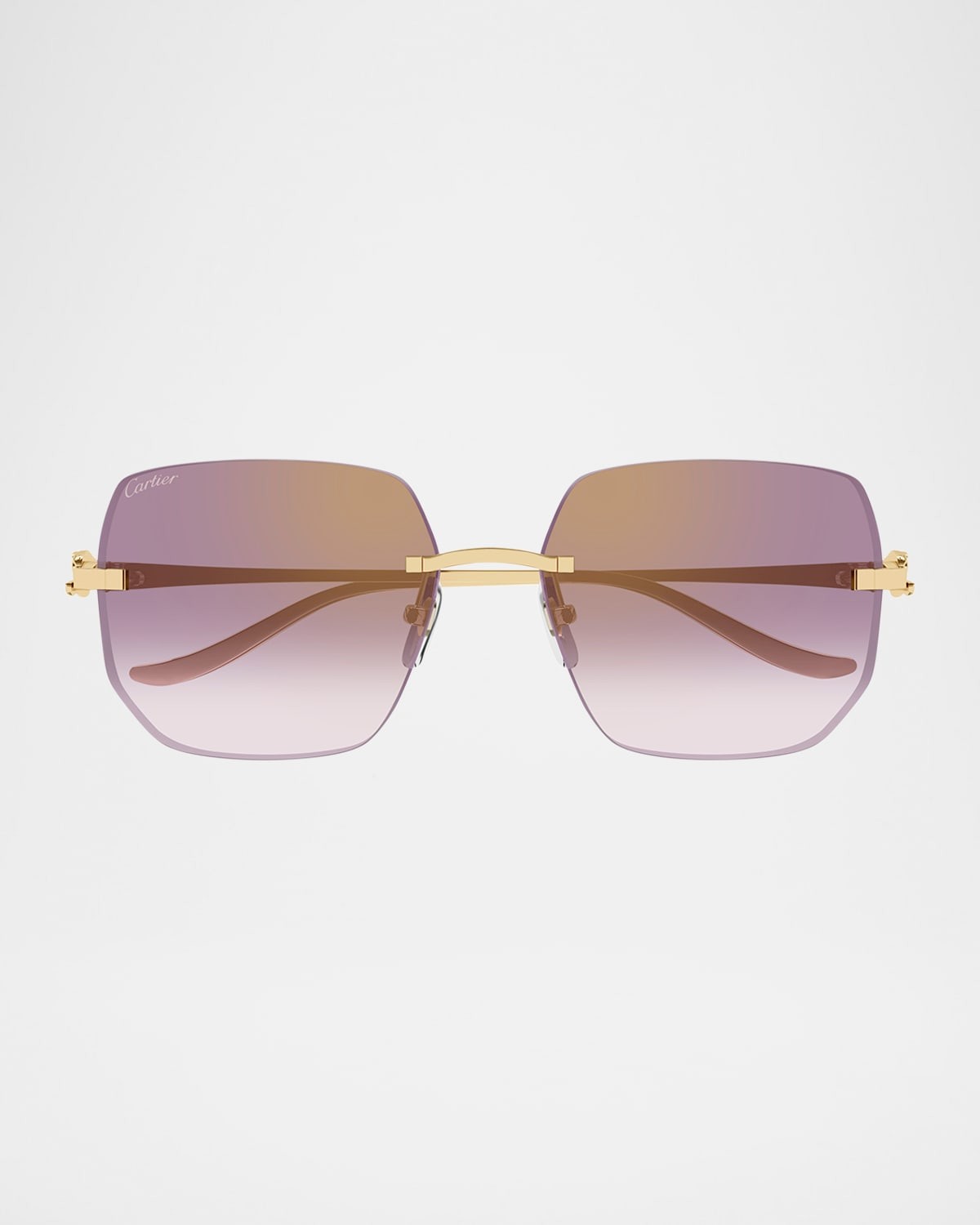 Cartier CT0549S-004 57mm