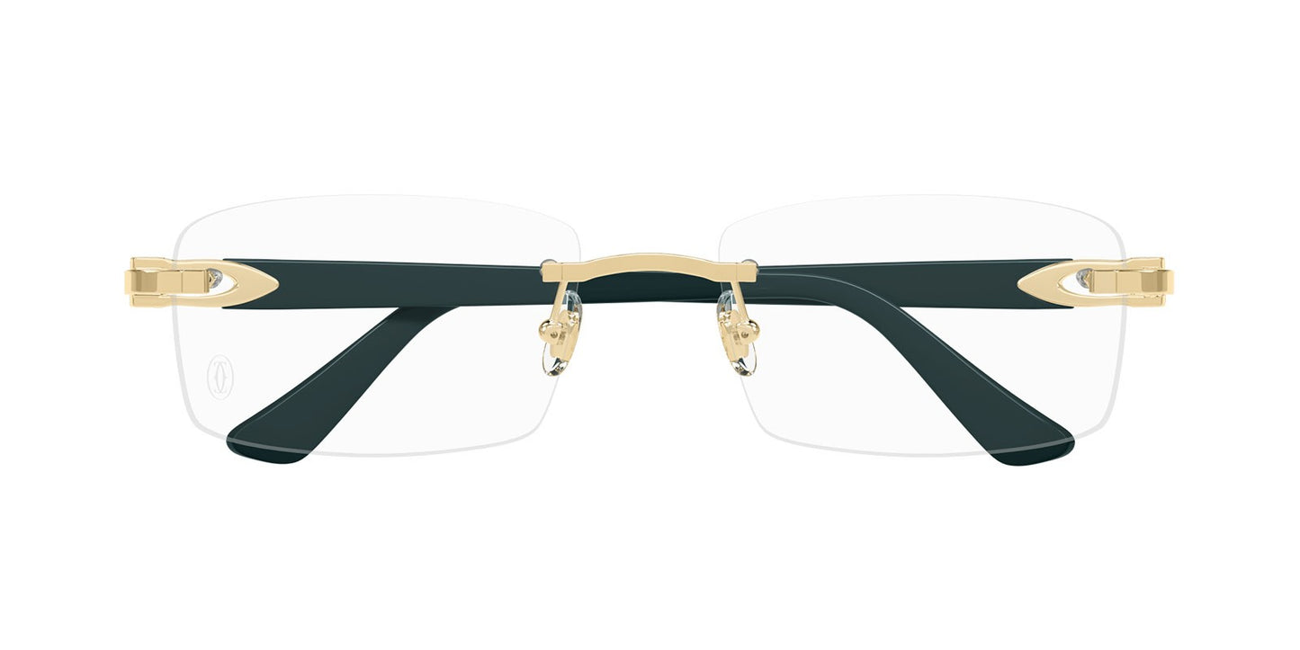 Cartier CT0287o-011 56mm