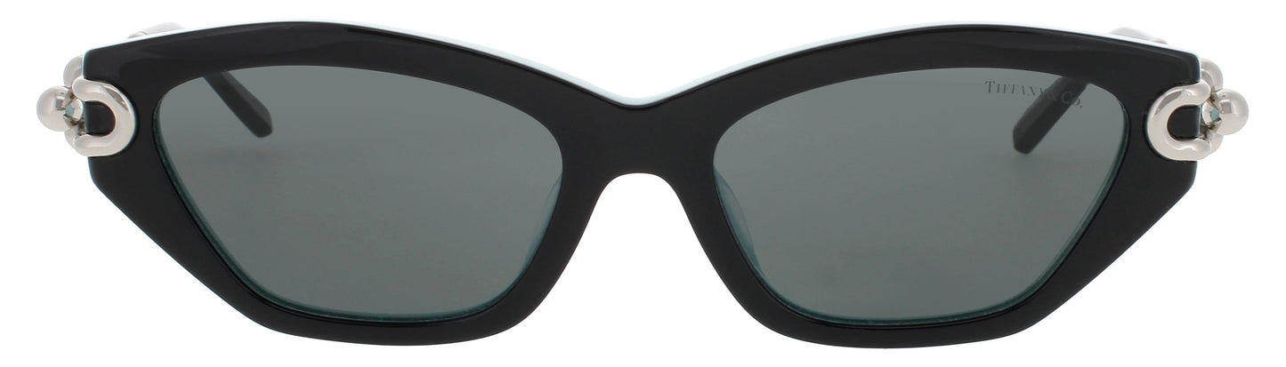 Tiffany & Co TF4231U-8055S4 53
