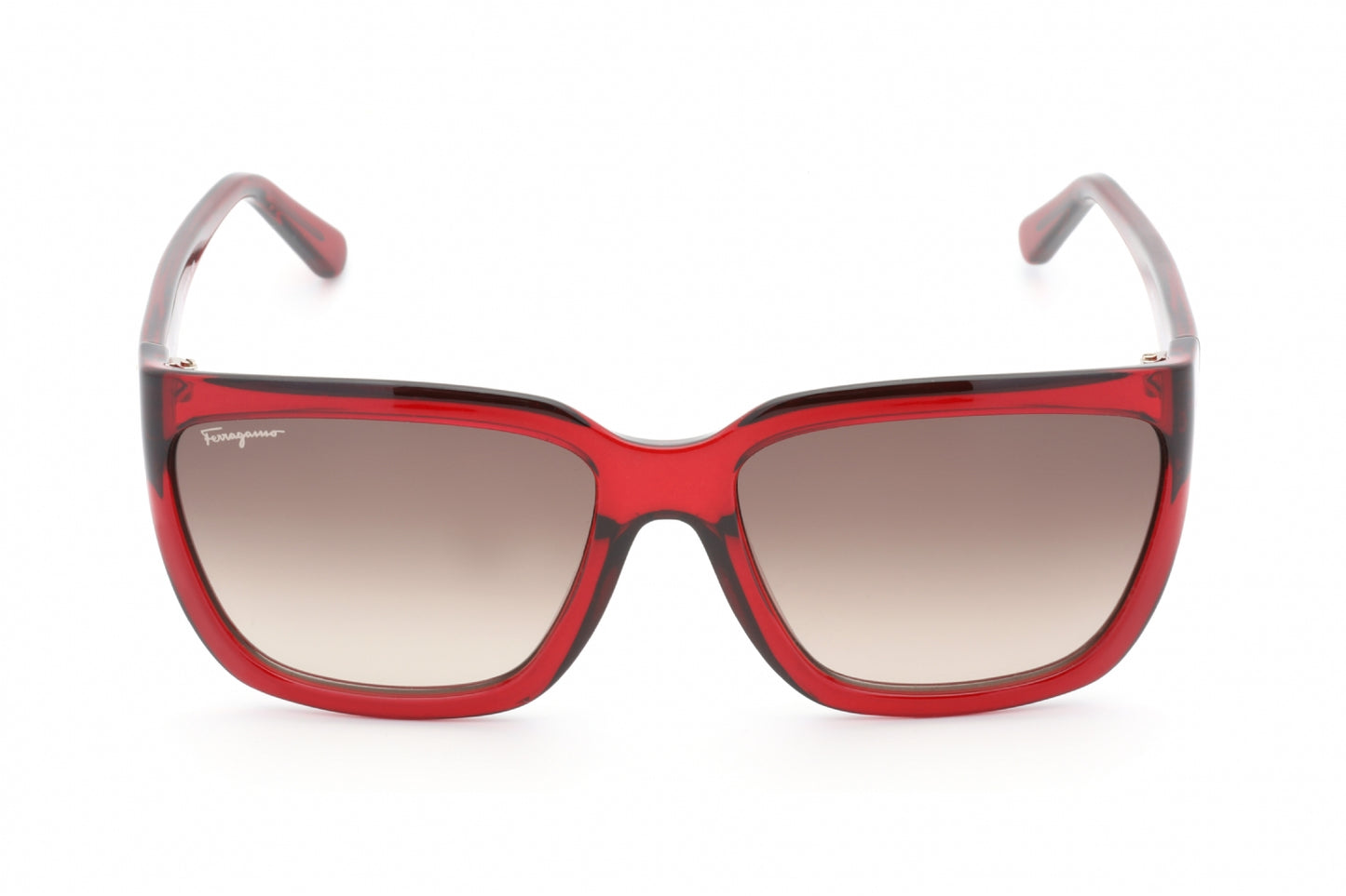 Salvatore Ferragamo SF1018S-655 59