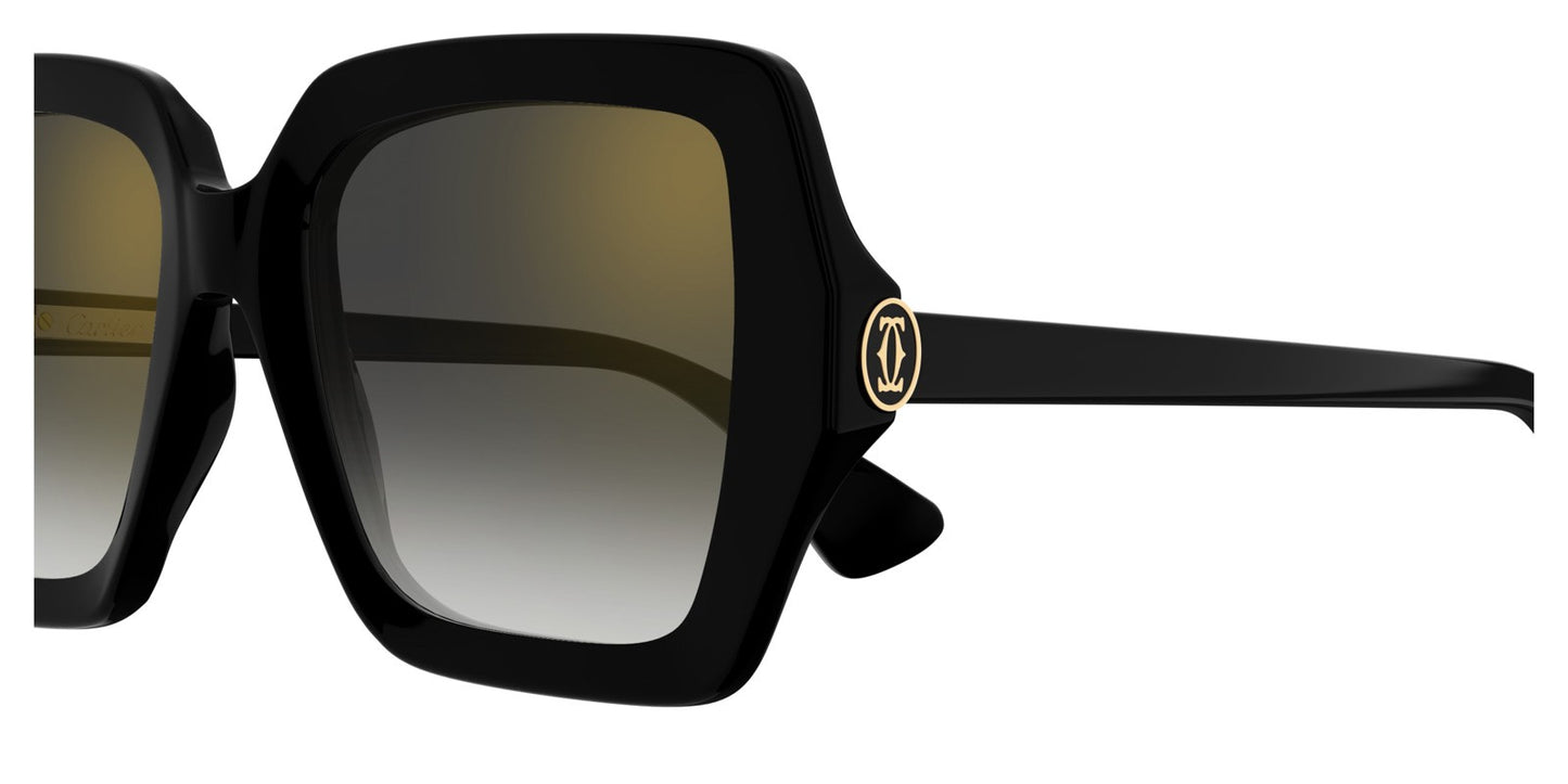 Cartier CT0507S-001 54