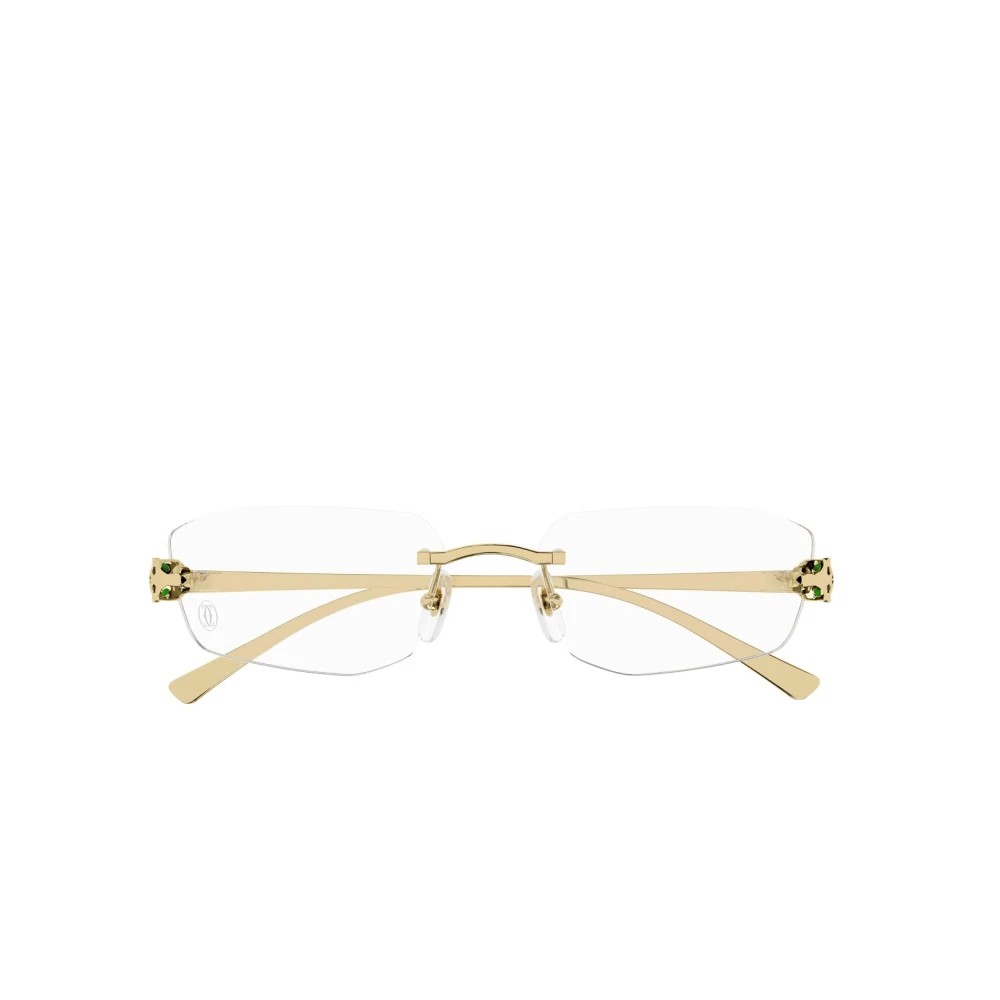 Cartier CT0494o-001 55