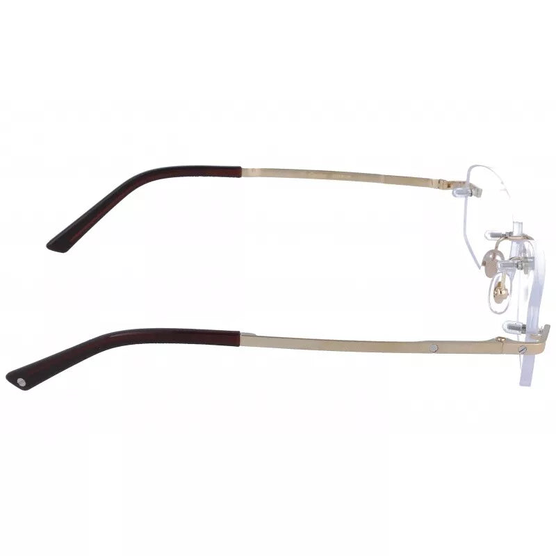 Cartier CT0086o-001 54mm