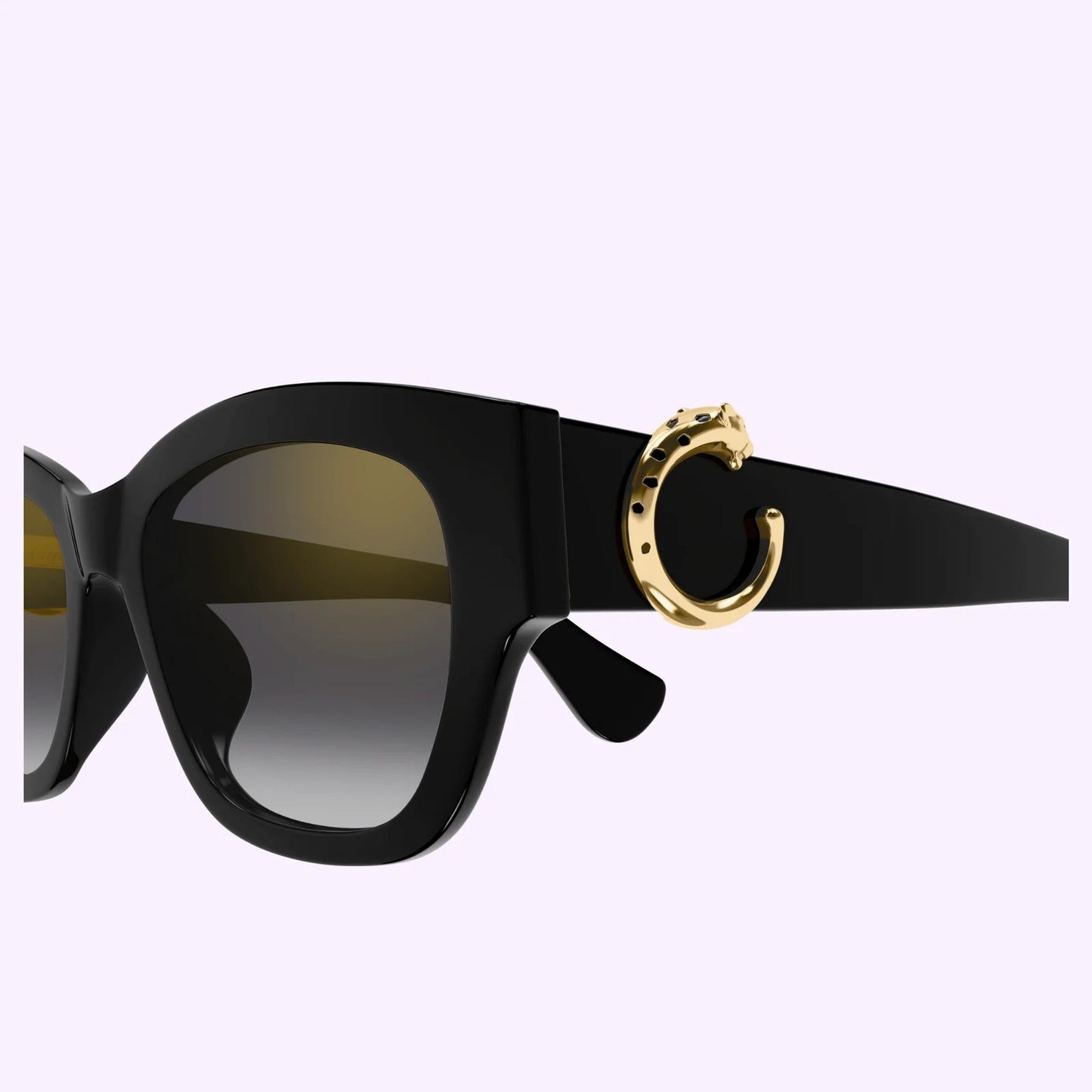 Cartier CT0548SA-001 55mm