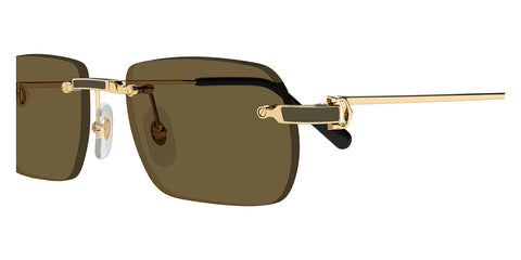 Cartier CT0498S-005 55mm