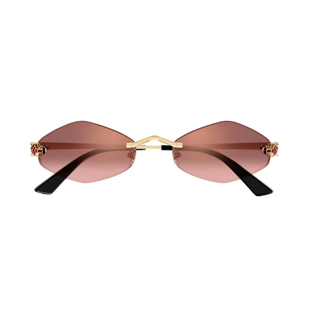 Cartier CT0433S-006 55mm