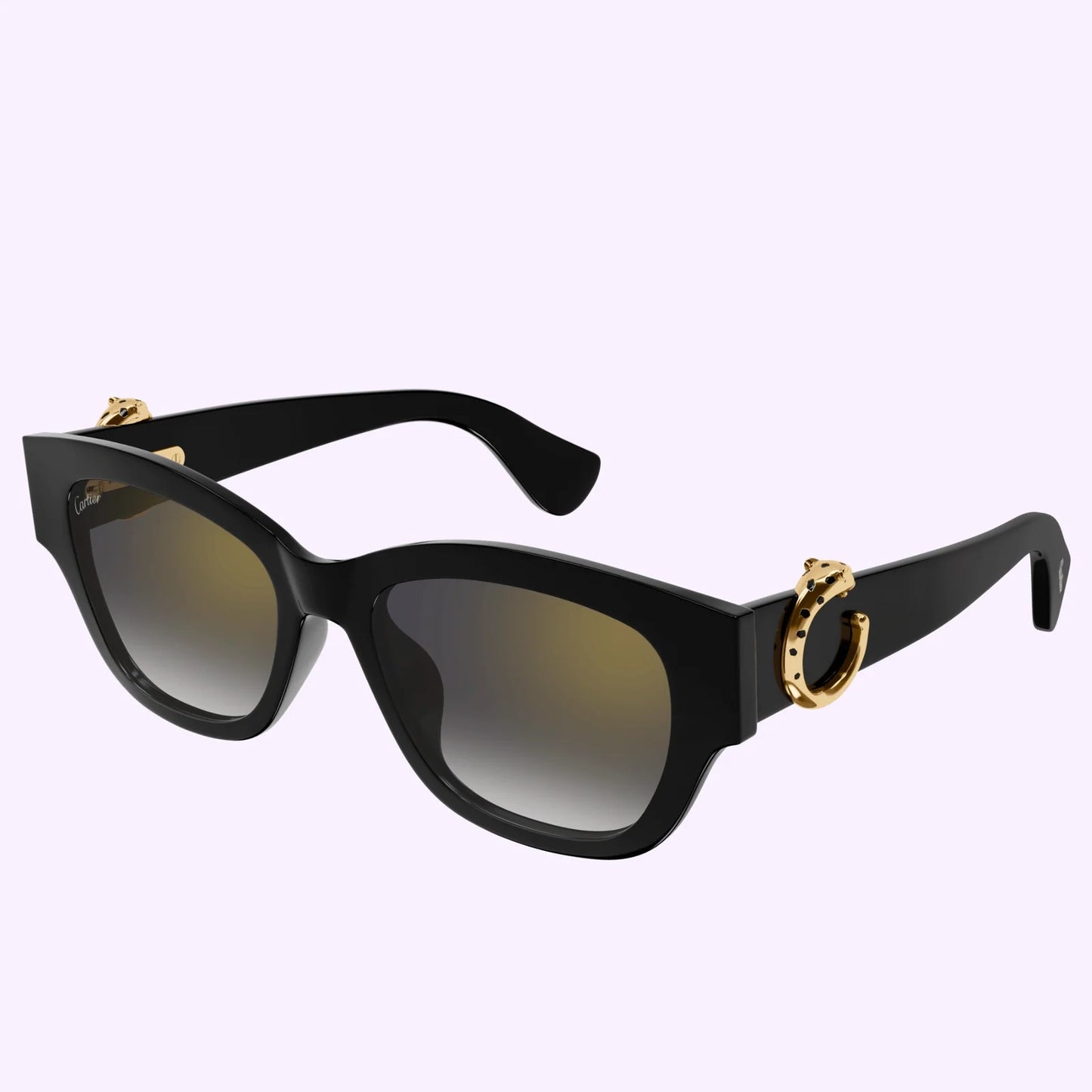 Cartier CT0548SA-001 55