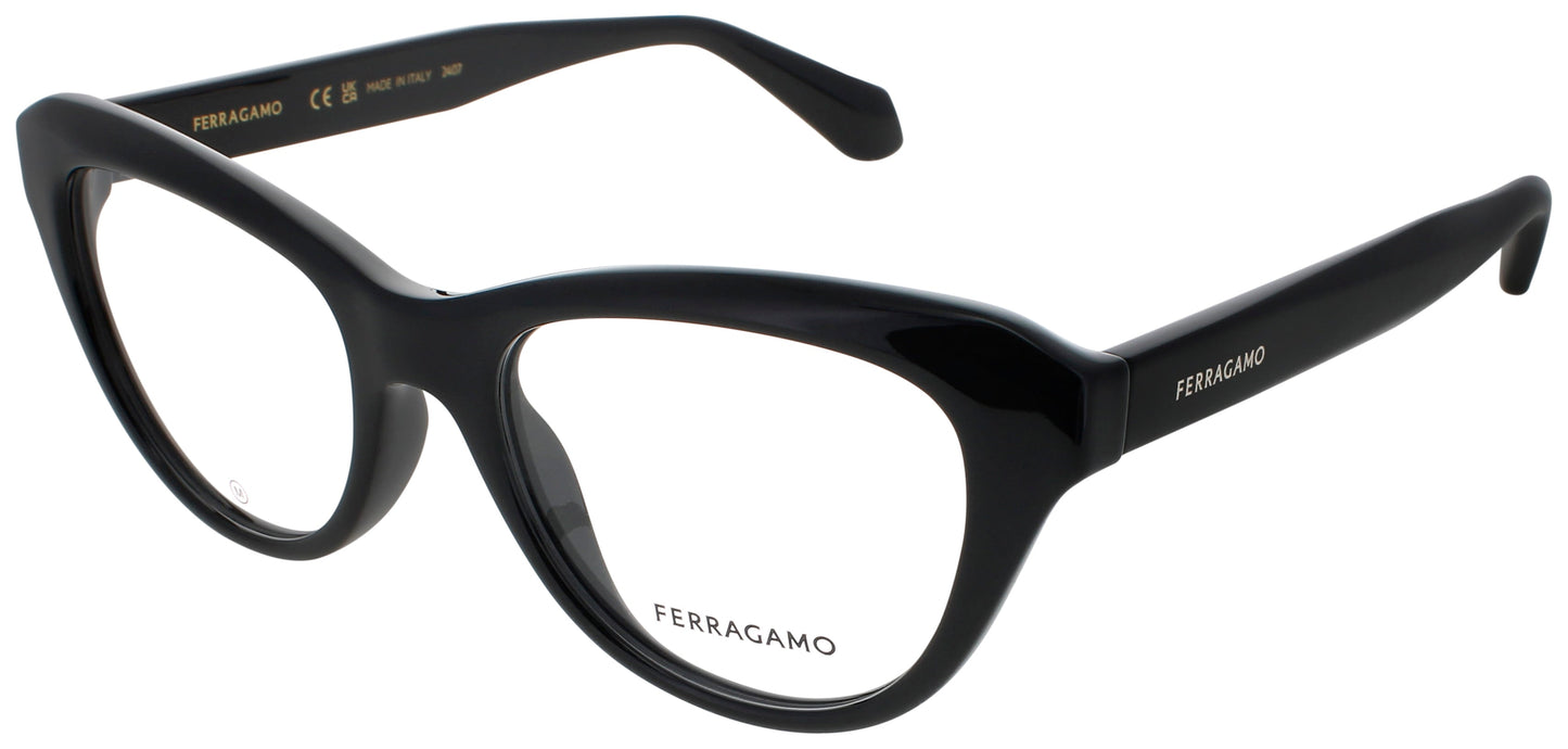 Salvatore Ferragamo SF2989E-001-51 0mm