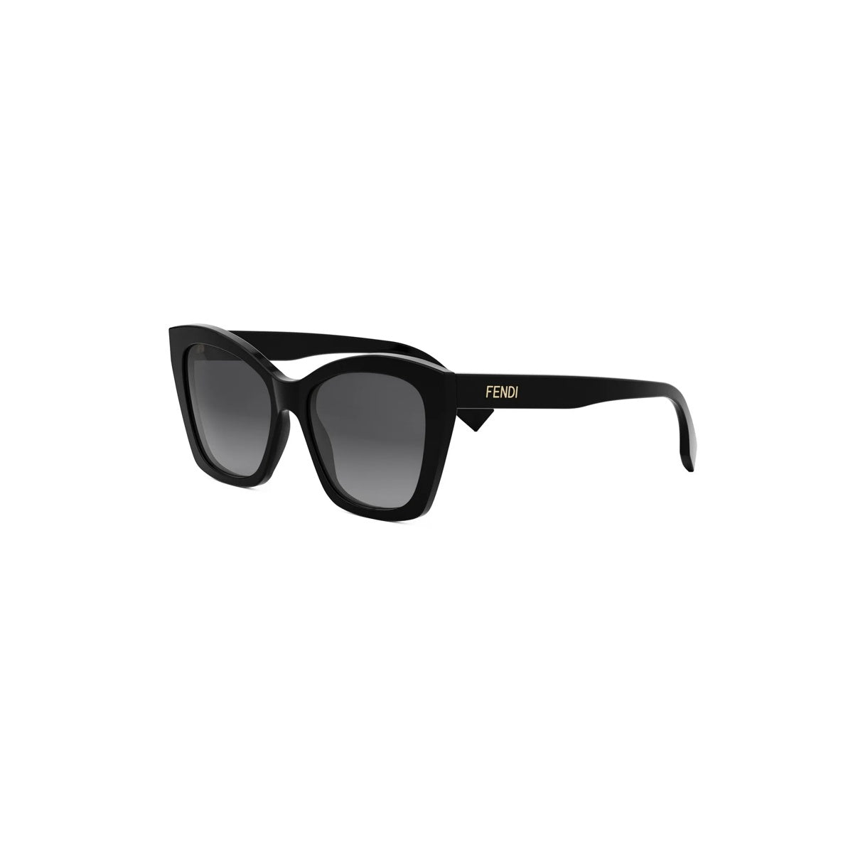 Fendi FE40151I-01B 55mm
