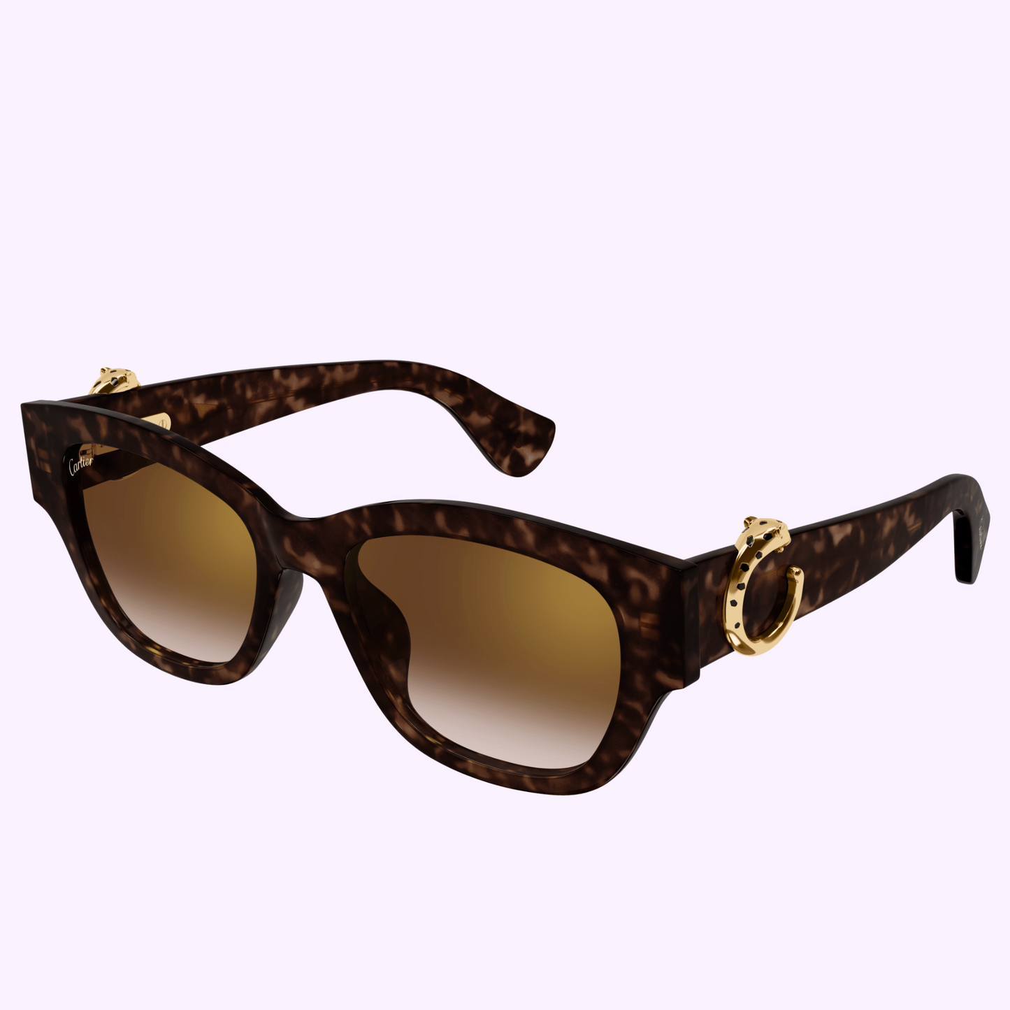 Cartier CT0548SA-002 55