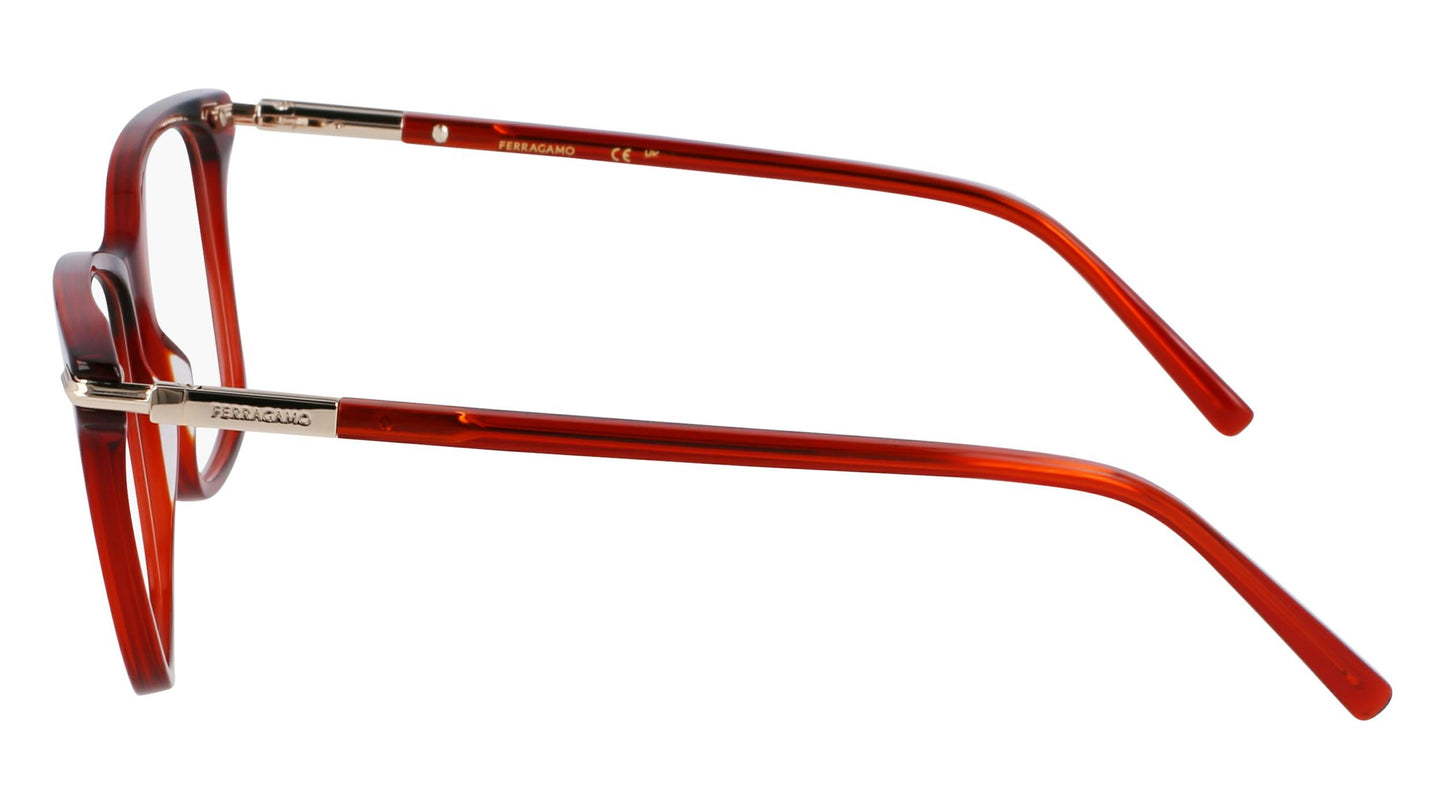 Salvatore Ferragamo SF3013-616-5315 53mm