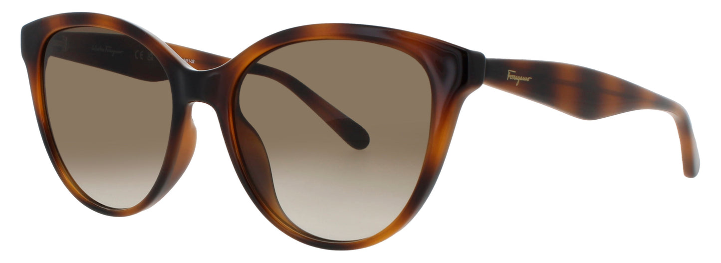 Salvatore Ferragamo SF1073S-240 54