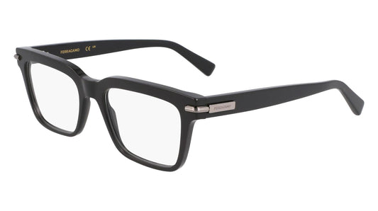 Salvatore Ferragamo SF3014-019-5518 55mm