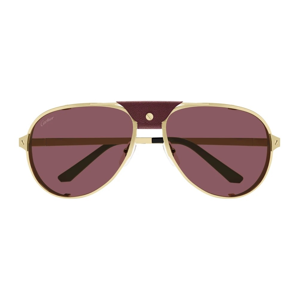 Cartier CT0296S-006 61mm