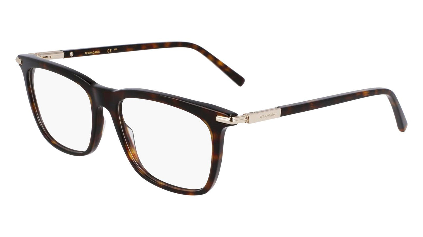 Salvatore Ferragamo SF3007-242-5317 53mm