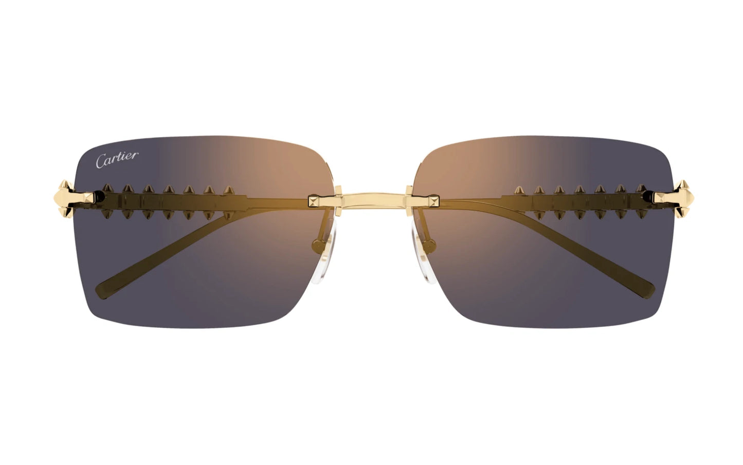 Cartier CT0545S-003 58mm