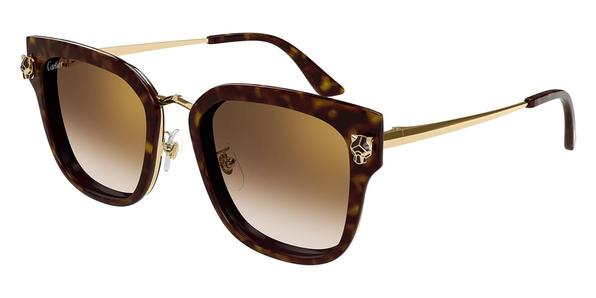 Cartier CT0509SA-002 55