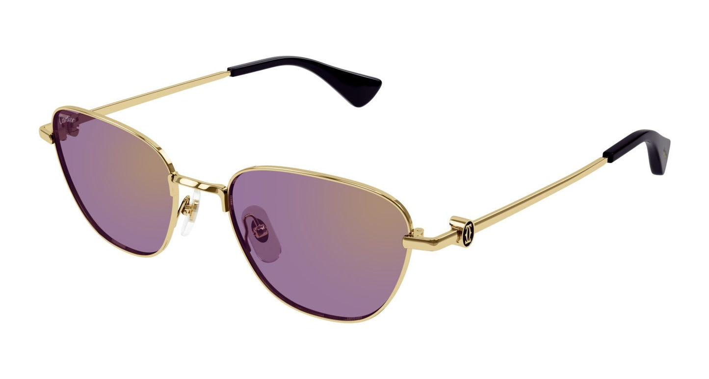 Cartier CT0469S-004 53