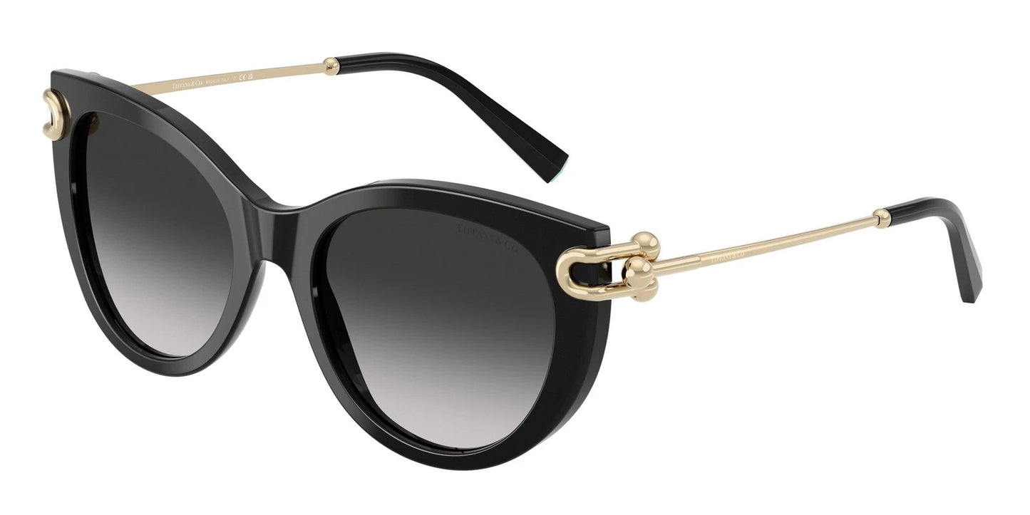 Tiffany TF4232-80013C-53 53