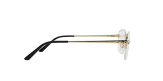 Cartier CT0235o-001 54mm