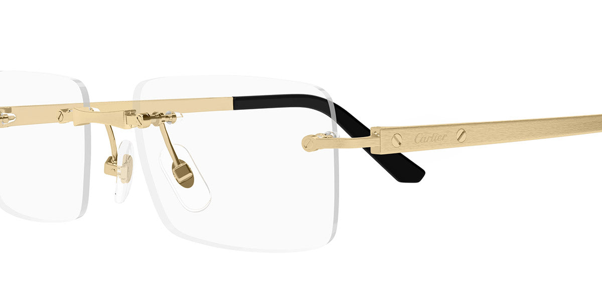 Cartier CT0511o-001 55mm