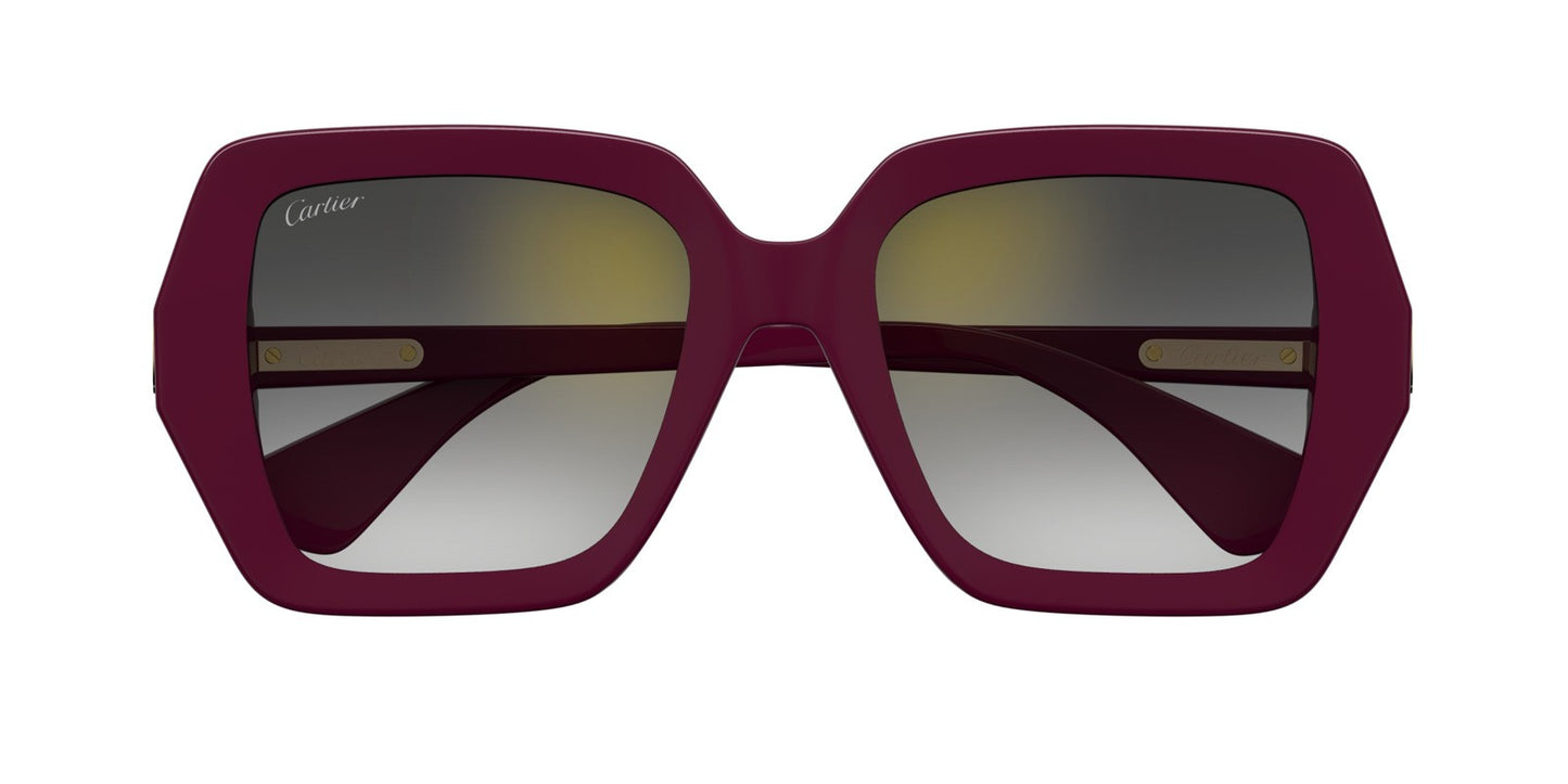 Cartier CT0507S-003 54mm