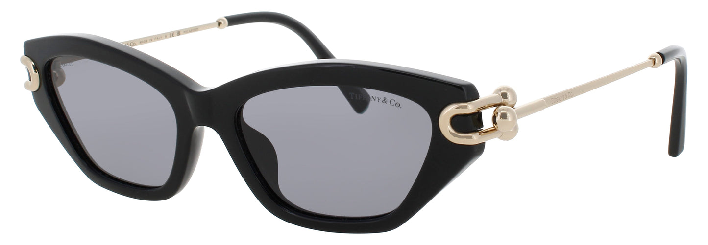 Tiffany & Co TF4231U-800181 53